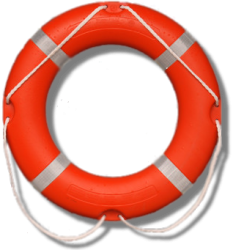 BPD Survival Skills