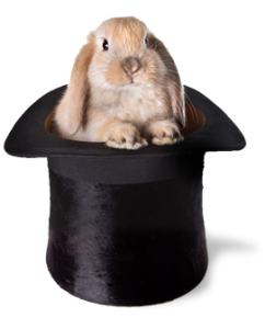 Rabbit in Hat